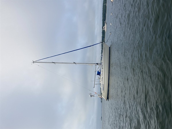 Looking For Ownership Partner